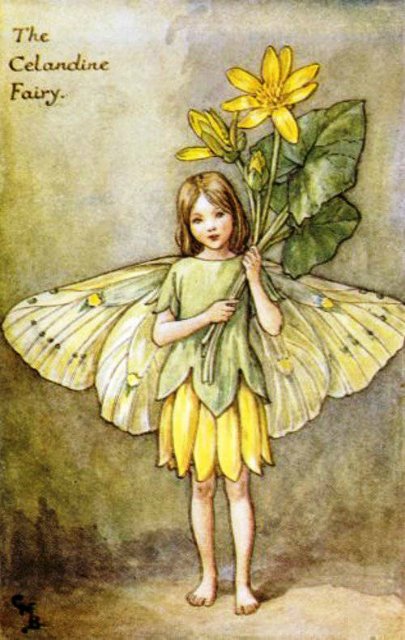 Долгая жизнь цветочных фей от иллюстраций Cicely Mary Barker до кукол Birgitte Frigast