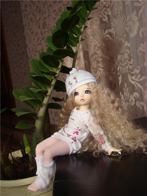 Любимка Николь. Little Fee Ante Elf (фото 9)