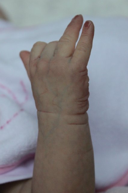 Ливиюшка 3. Куколка реборн Виктории Вишни