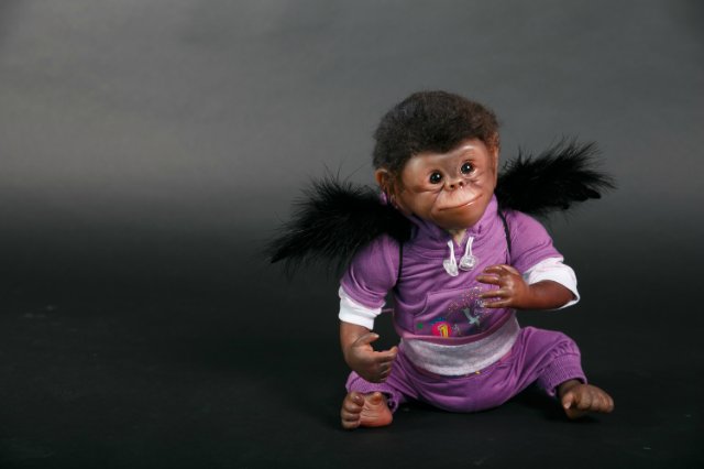 Часть 3. Обезьянка из страны Оз (фото 10)