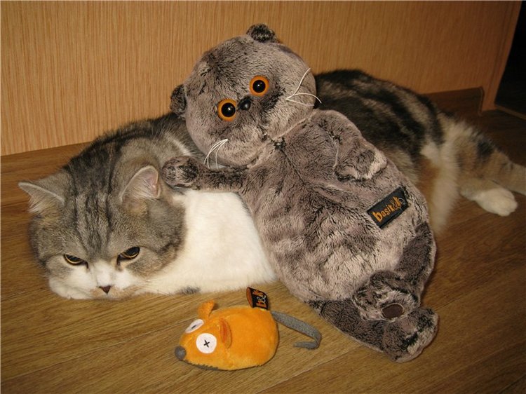 Четыре года на любимом сайте Бейбики