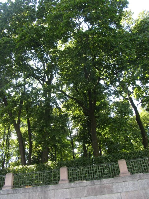 Приглашаем на водную экскурсию по Петербургу