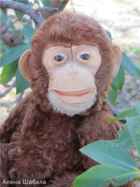 Старый Steiff. Яков и Матвей (фото 3)