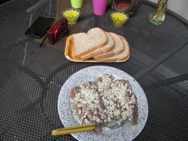 "В гостях у сказки" или моя поездка к нашей Lalysse из Голландии