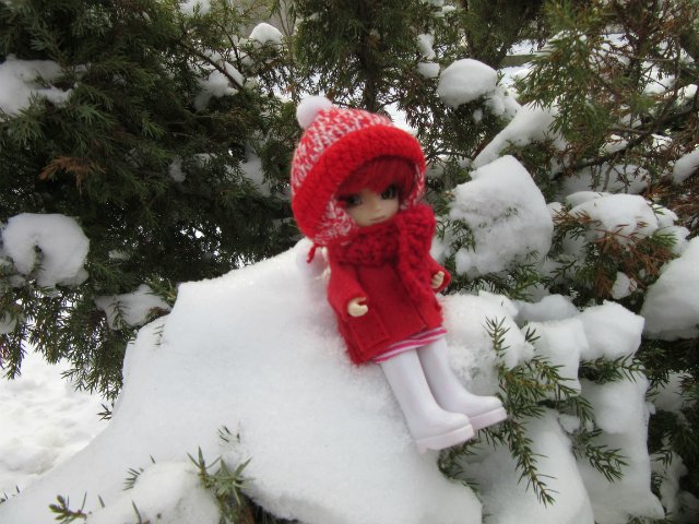 Чем бы заняться юному лорду 30 декабря (фото 7)