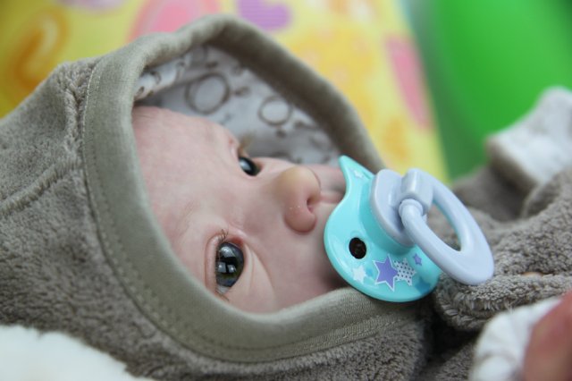 Софийкин! Кукленок реборн Виктории Вишни