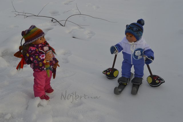 Двое в санках, не считая кота...Вихтели Rosemarie Anna Muller (фото 7)