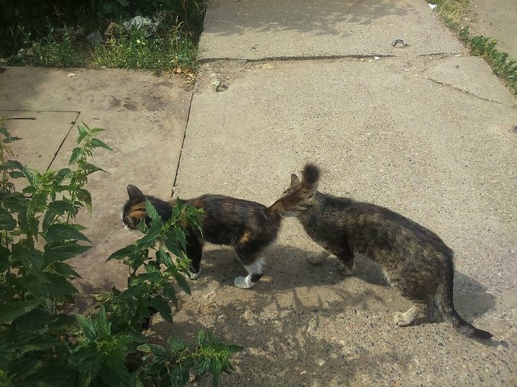 Воткинск — родина гения музыки Петра Ильича Чайковского. Часть 1