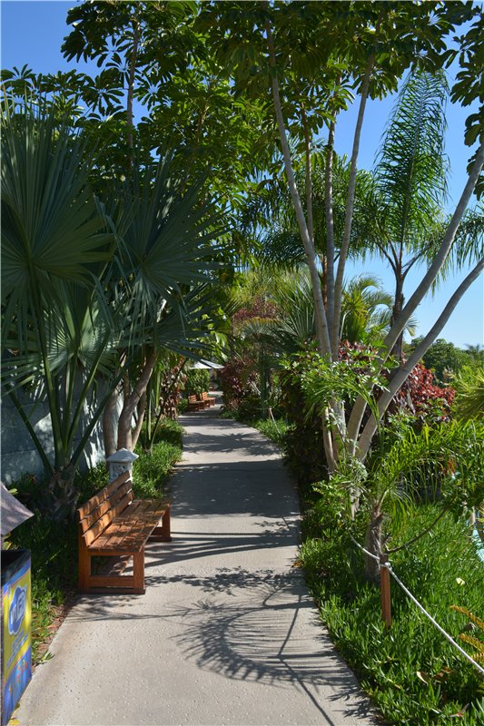 Испания. Тенерфе. Часть 3. Сиам парк (фото 8)