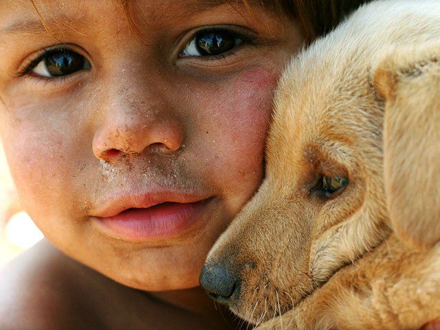 Рисовалочки цифровые — Другие хобби и увлечения: сад (фото 2)