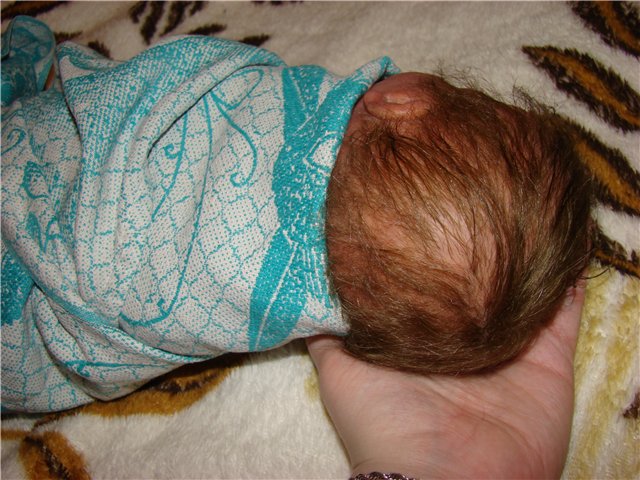 Филипок. Мой переделанный малыш беренжер