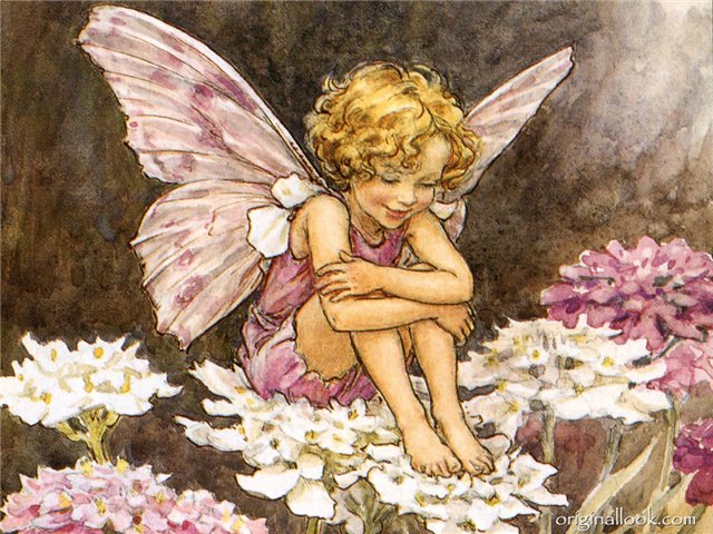 Вот так погуляли или Как у нас появилась кукла БЖД LittleFee Ante Elf