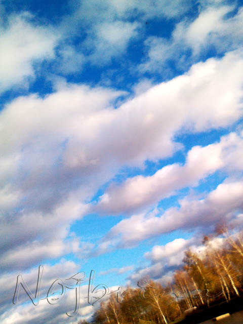 Осенняя поездка. Куклы Gotz и Berenguer (фото 9)