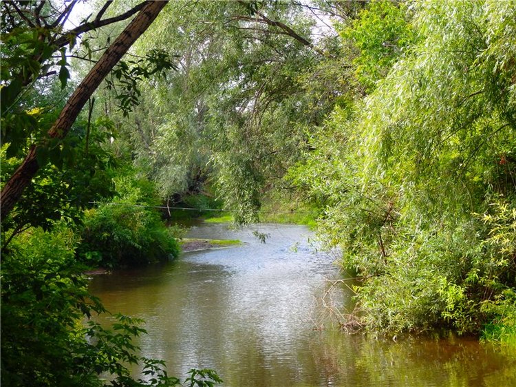 Мы гуляли | Бэйбики Мы гуляли — Куклы Iplehouse (Иплхаус): BJD (БЖД) (фото 2)