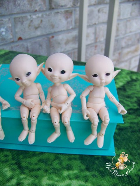 Новая семейка...или *Крошка на ладошке*-2-Titi & Toki Realpuki от Fairyland