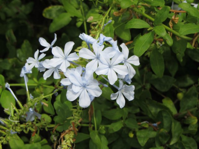 Моя Италия. Часть 2 - Леванто, Манарола