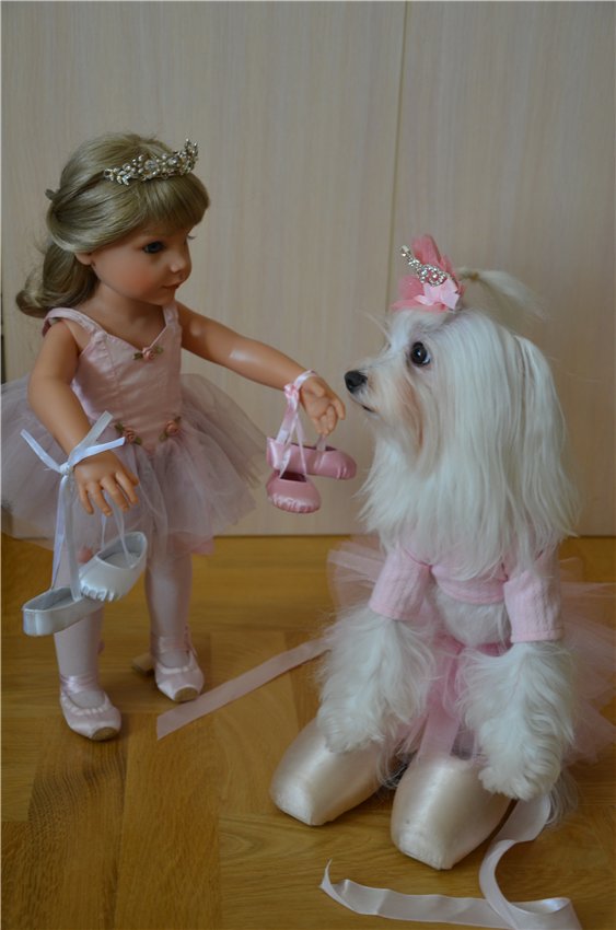 Балерина Хлоя или наше участие в конкурсе "Кукла и питомец"