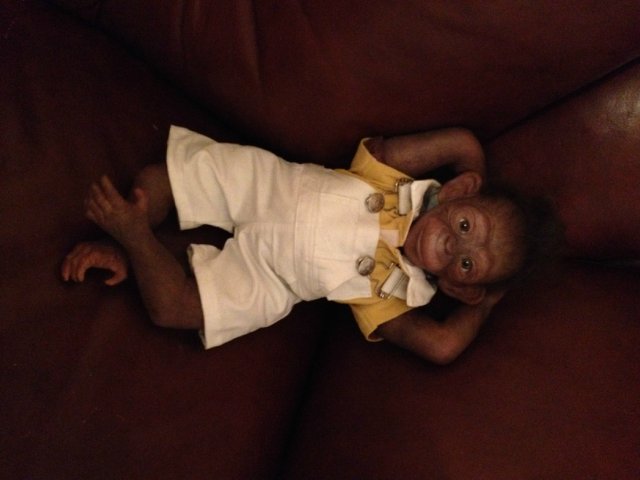 Гога, он же Гоша,он же Гора, он же Жора, здесь проживает? кукла реборн Элины Кудрявцевой