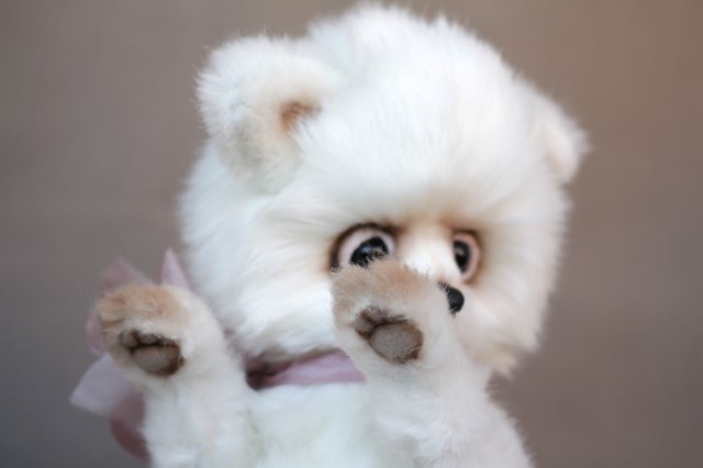 Арктический Лисенок Иэн — Авторские мишки Тедди и друзья: фото