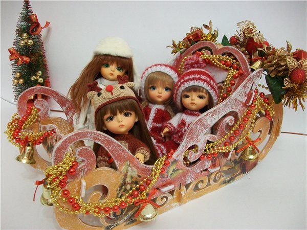 Как мои Латишки встречали Новый Год (фото 4)