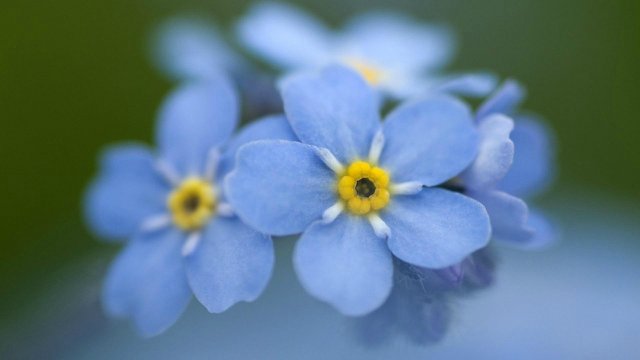 Божья коровка по имени Эмилия. Кукла реборн Шутовой Анны (фото 5)