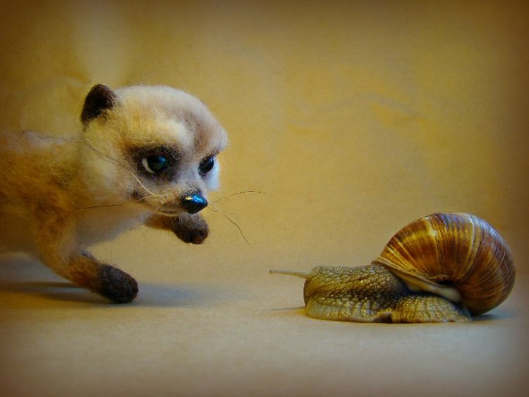 Сурикат. Авторская игрушка валянием из шерсти Ольги Чернухо (фото 5)