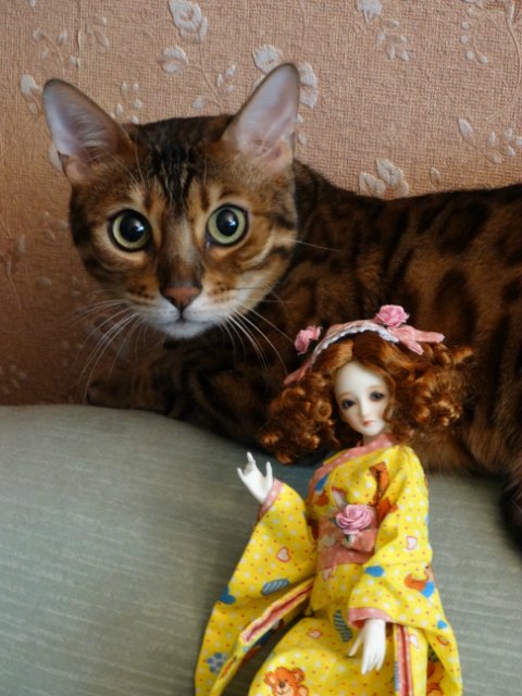 Метелька и её новый друг | Бэйбики Метелька и её новый друг — Куклы Souldoll (Соулдолл): BJD (БЖД) (фото 3)