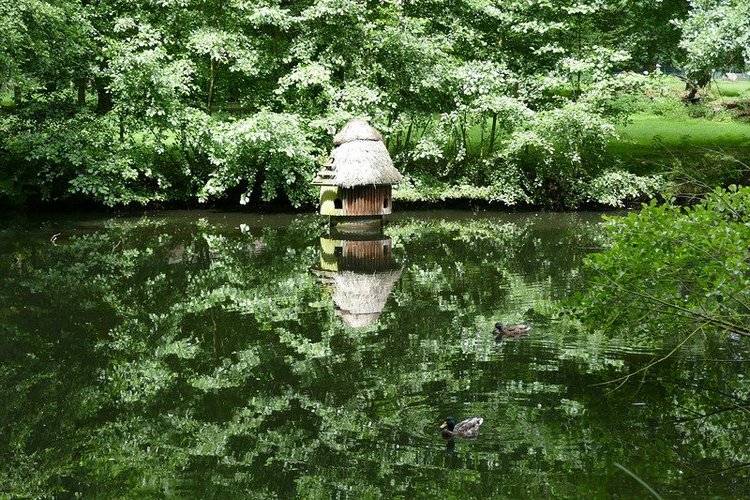 Hirschpark Hamburg. Олений парк. ВИДЕО