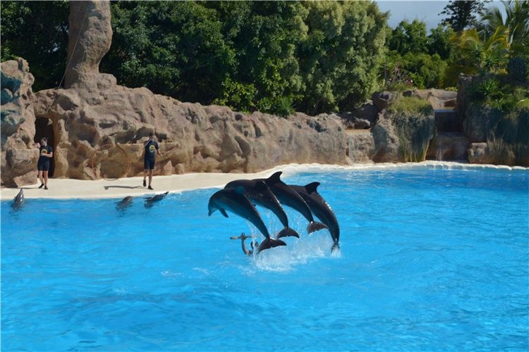 Испания. Тенерфе. Часть 2. Лоро парк