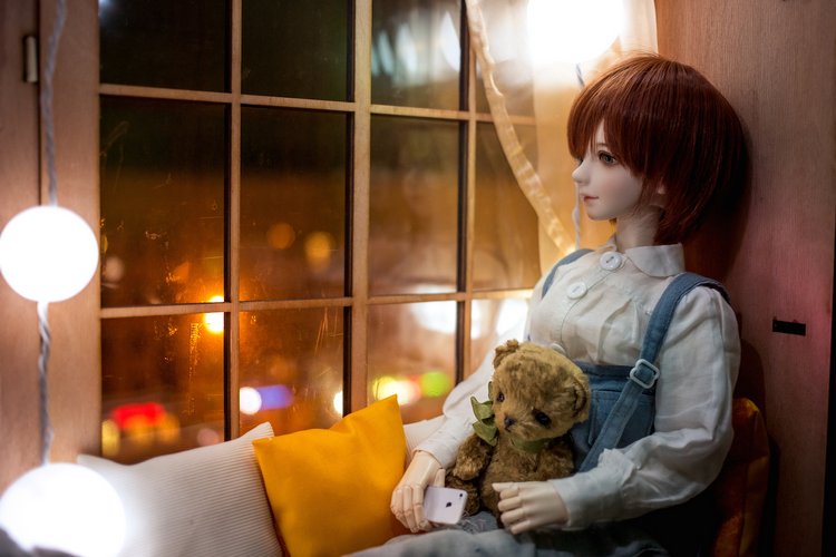 Неизвестный номер — Фотоистории с куклами BJD (БЖД): сериалы