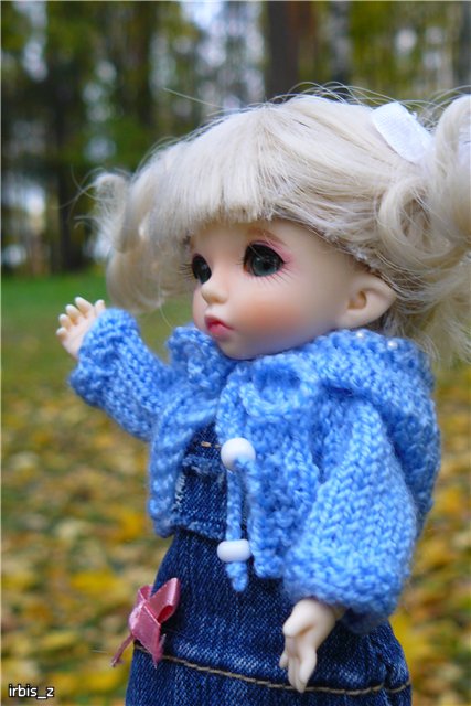 Вот так погуляли или Как у нас появилась кукла БЖД LittleFee Ante Elf