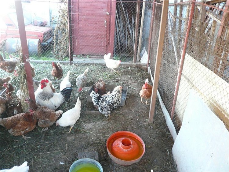 Пупсики родом из детства! Начало коллекции