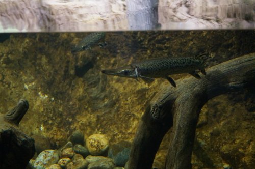 Воронежский океанариум — Туризм и путешествия: фотоотчеты из поездок