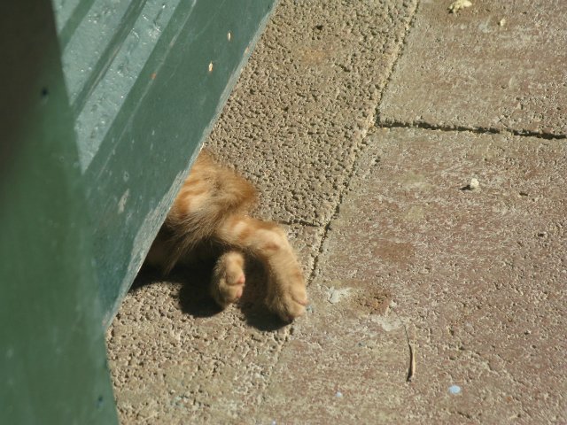 Кусочки моей Греции — Болталка и разговоры обо всем: жизнь