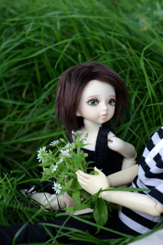 Отчет за весну-лето или просто "Немножко Кими" =)