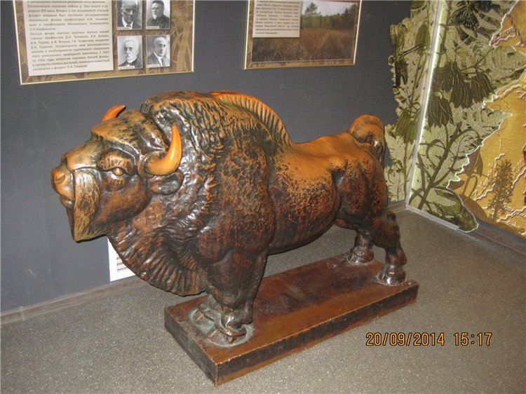 Давайте знакомиться! Мусенька - Realpuki Kaka Basic;)