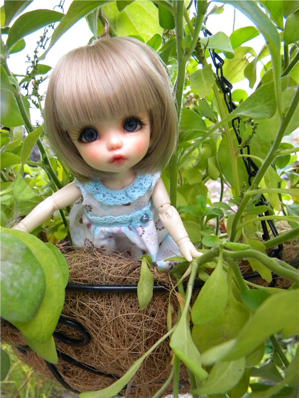 Пионка прощается с летом — Куклы Fairyland (ФэйриЛэнд): BJD (БЖД) (фото 8)