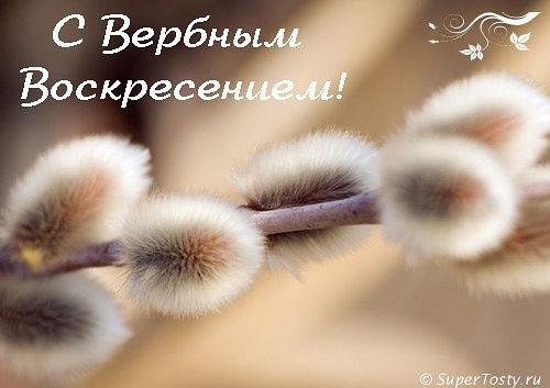 Ливушка. Кукла-реборн Иваховой Елены