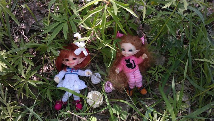 Поездка за подснежниками. Или просто Корппи | Бэйбики Поездка за подснежниками. Или просто Корппи (фото 8)