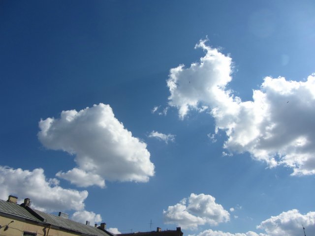 Приглашаем на водную экскурсию по Петербургу