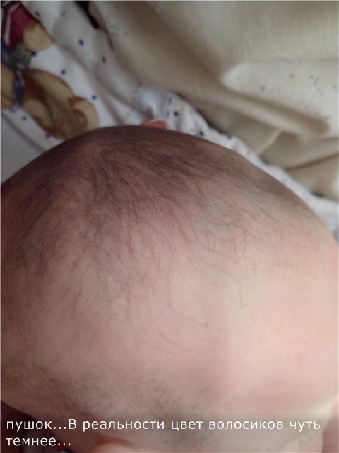 Куклы реборн Твин В и Жулиус (Твикс), дополнение (фото 5)