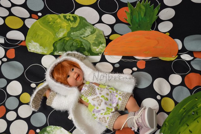 Неугомонные. Вихтели Rosemarie Anna Muller (фото 2)