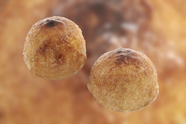 Новогодние рецепты: Голландские пирожные Appelbollen (аппелболлен)