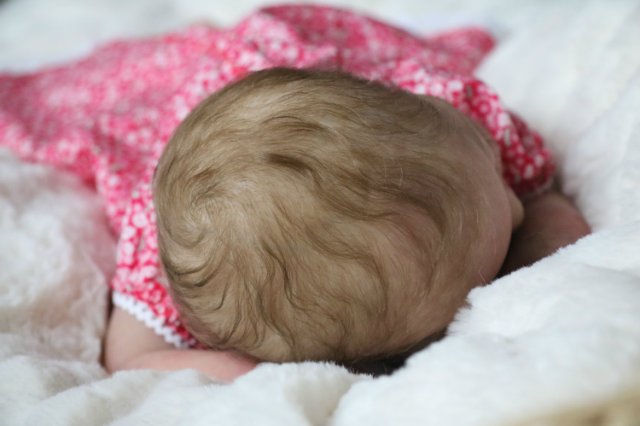 Спящая малышка Рози 2. Куколка реборн Виктории Вишни