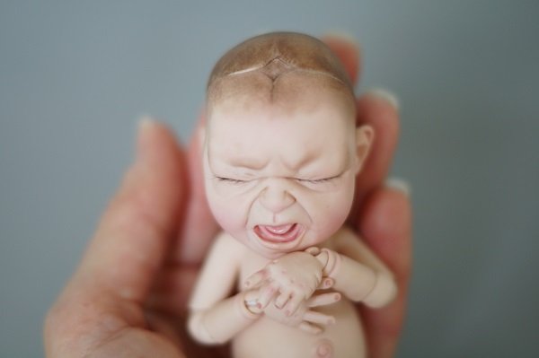 Необыкновенный младенчик от Лели Дубровиной (фото 5)