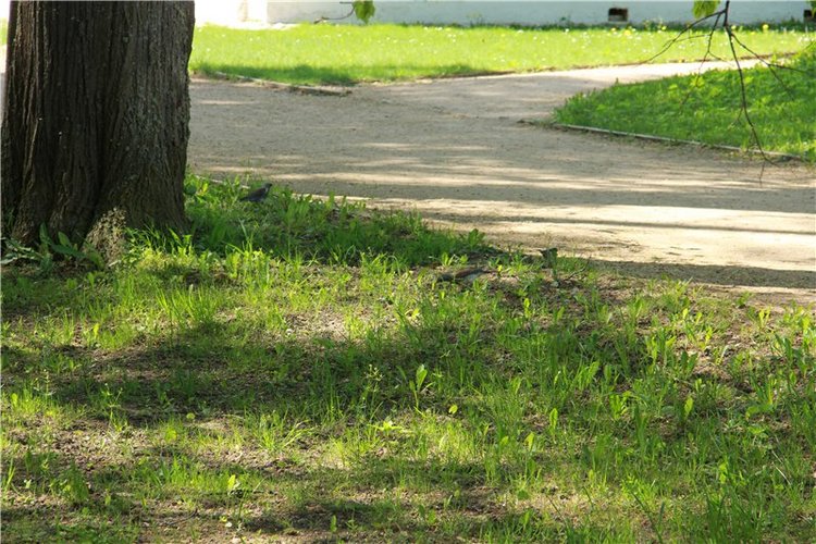 Субботний вояж. Часть вторая | Бэйбики Субботний вояж. Часть вторая (фото 7)