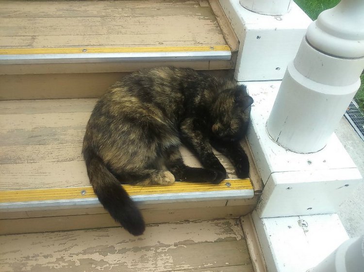 Воткинск — родина гения музыки Петра Ильича Чайковского. Часть 2 (фото 4)