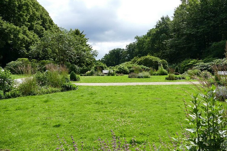 Hirschpark Hamburg. Олений парк. ВИДЕО