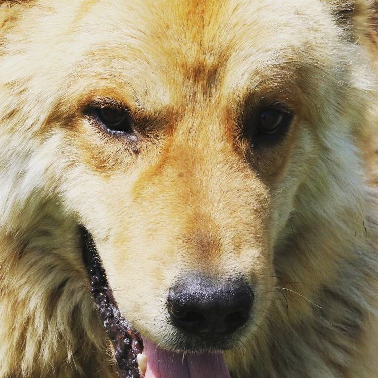 Те, кто нас любит и в домашнем халате, и без косметики, и растрепанными | Бэйбики Те, кто нас любит и в домашнем халате, и без косметики, и растрепанными (фото 5)