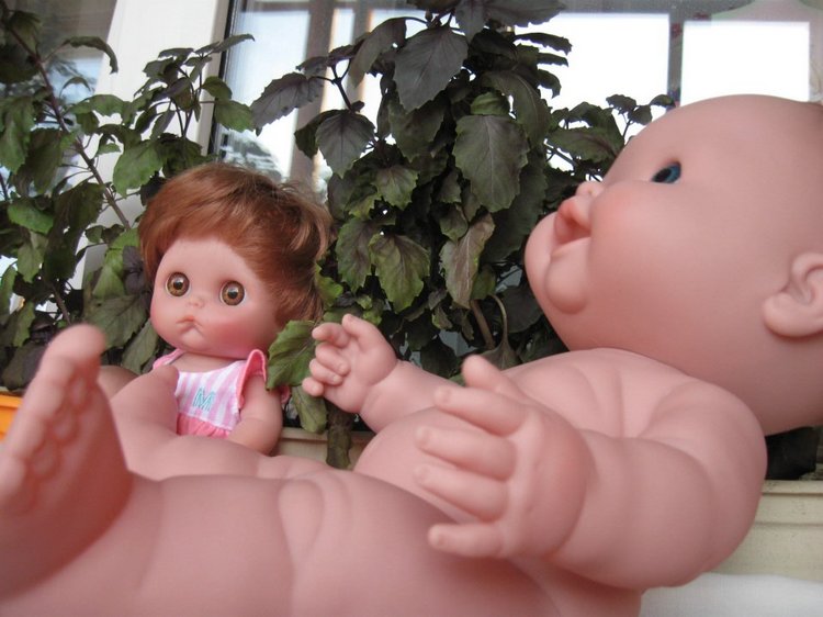 Глазастик и другие куколки